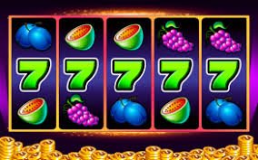 vip taki